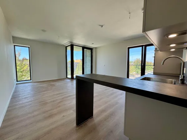 Burgemeester Michiels van Kessenichpassage - Maastricht