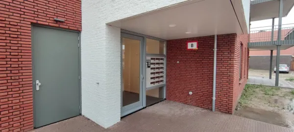 Eekhoorn - Veldhoven