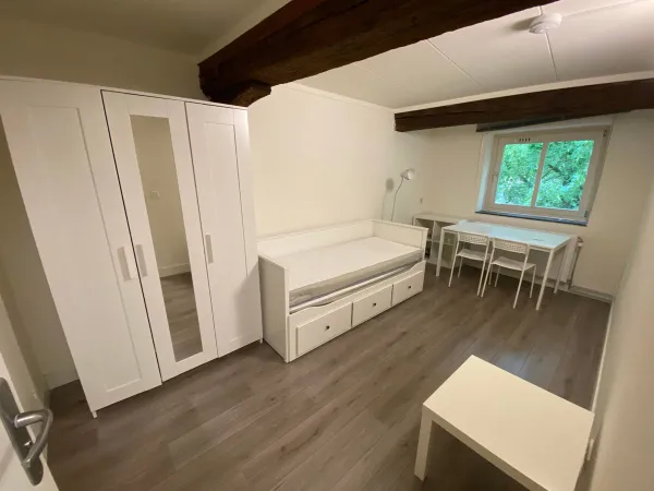 Grote Looiersstraat - Maastricht