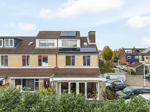 Jonge Linde - Ouderkerk aan de Amstel