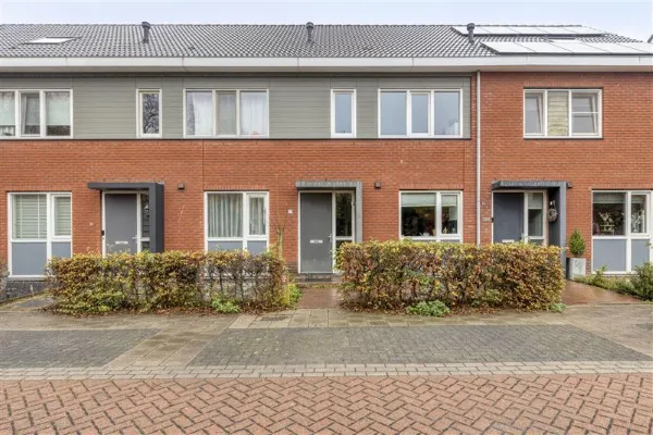 Meidoorn - Millingen aan de Rijn